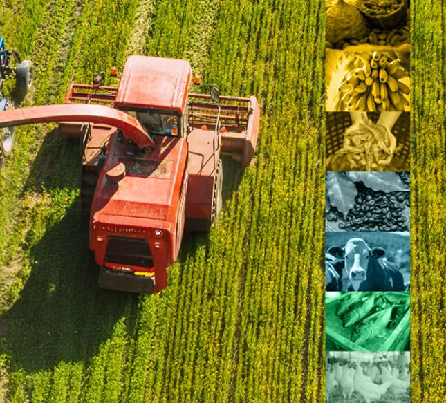 Agro & Food Business