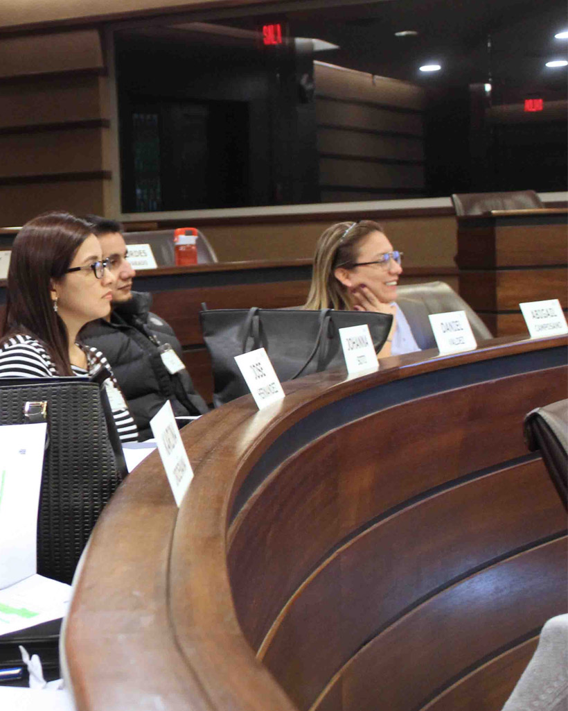 Programas In Company