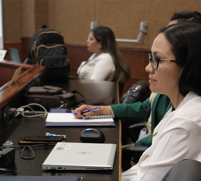 Construcción Carteras