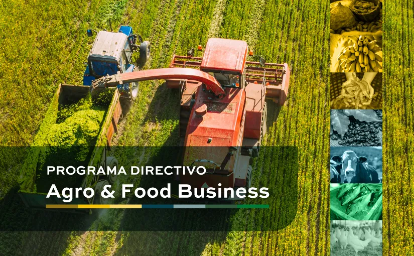 Agro & Food Busines